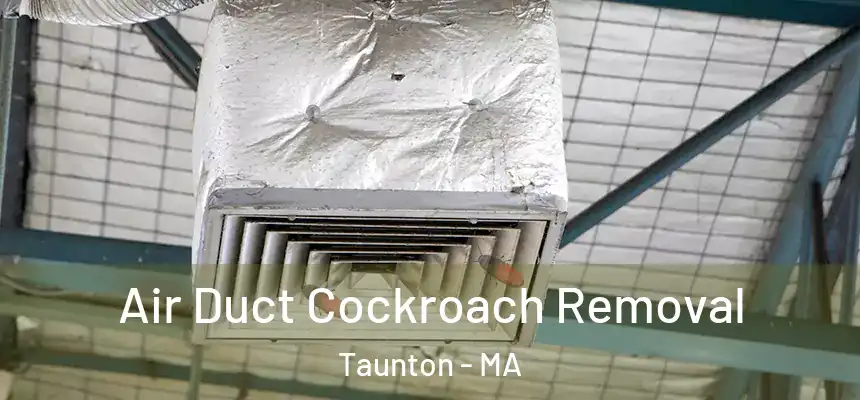  Air Duct Cockroach Removal Taunton - MA