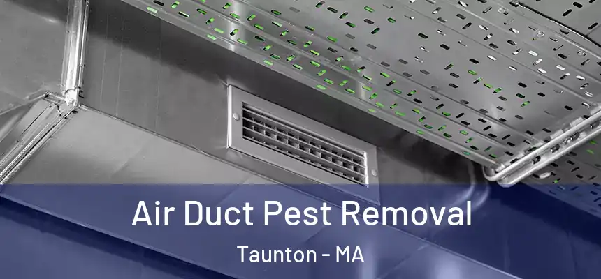 Air Duct Pest Removal Taunton - MA