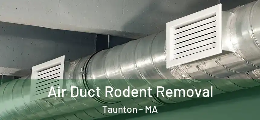Air Duct Rodent Removal Taunton - MA