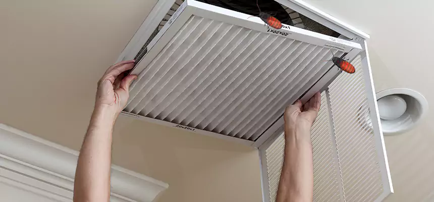 Our Insect Removal from Air Ducts Services in Taunton, MA