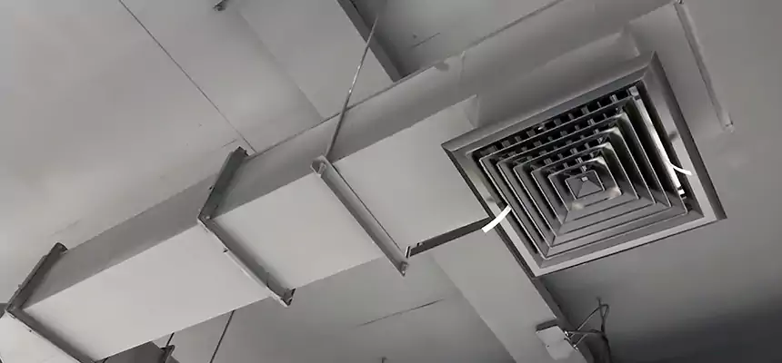 Our Rodent Droppings In Vents Services in Taunton, MA