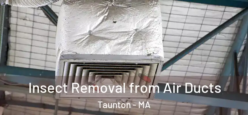  Insect Removal from Air Ducts Taunton - MA