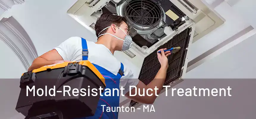 Mold-Resistant Duct Treatment Taunton - MA