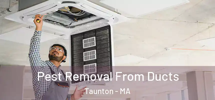  Pest Removal From Ducts Taunton - MA
