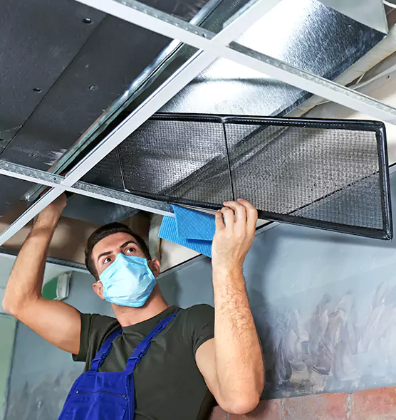 About Air Duct Bacteria Removal in Taunton