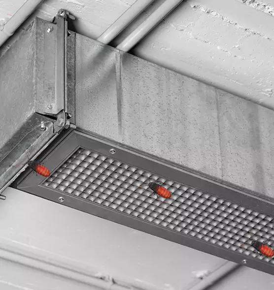 About Air Duct Cockroach Removal in Taunton, MA