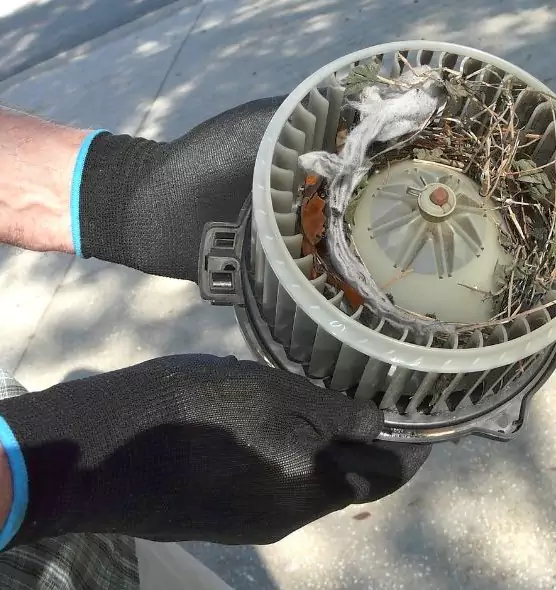 About Air Duct Rat Removal in Taunton, MA