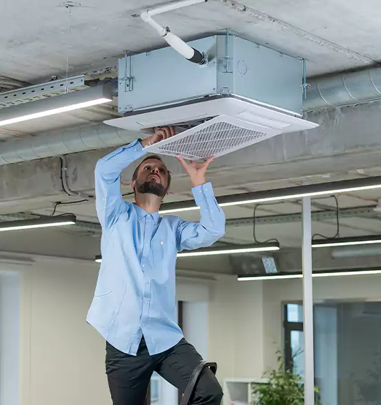 Advanced Rodent Droppings In Vents in Taunton, MA