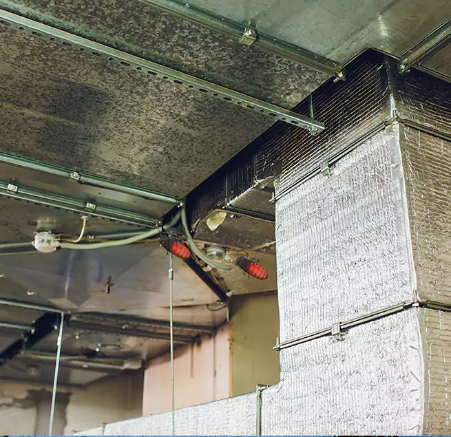 Why Homeowners & Businesses Trust Us in Taunton, MA?