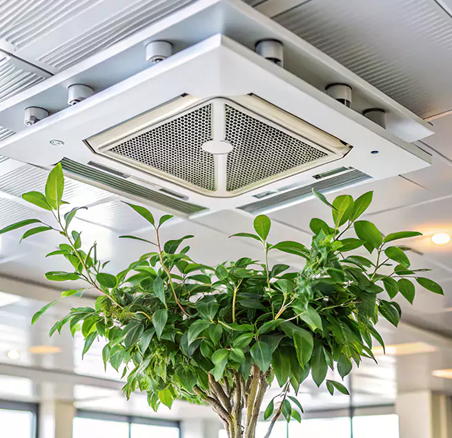 Why Homeowners & Businesses Trust Us in Taunton, MA?